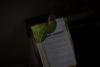 post-67487-0-24419700-1411643436_thumb.j