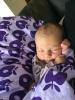 post-72085-0-85765000-1443206494_thumb.j