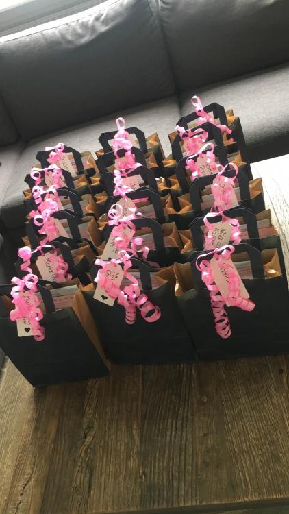 Goddiebags alle.jpg