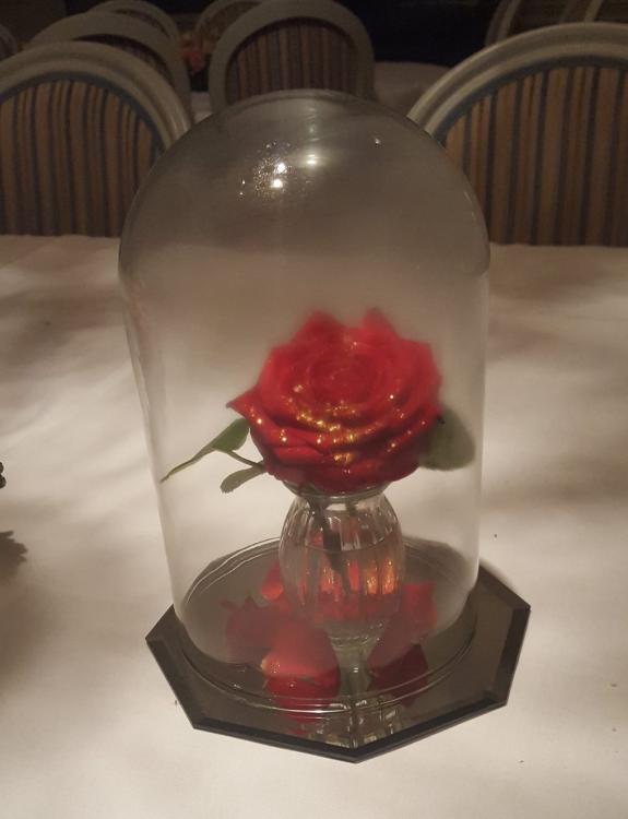 Rose.jpg