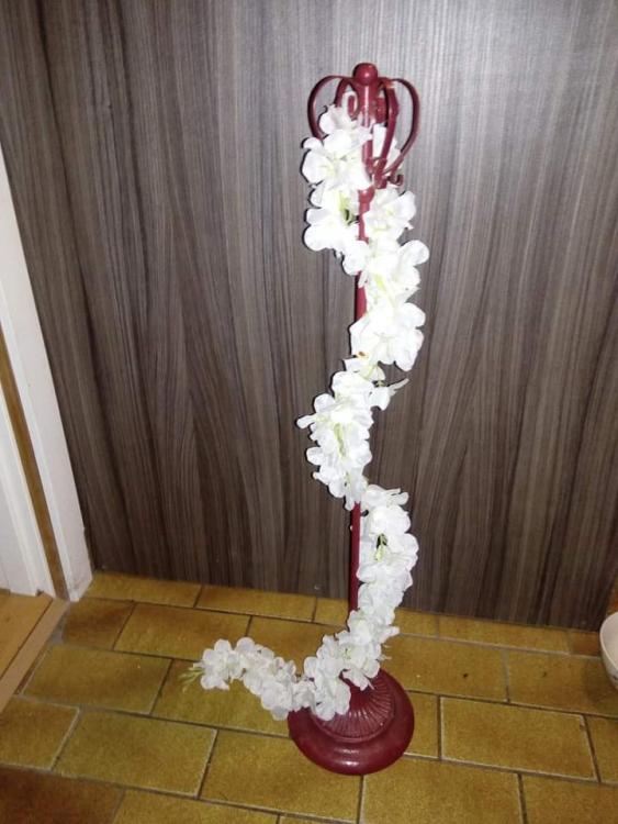 FB_IMG_1602050172995.jpg