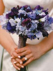 post_16200_1152618877.jpg